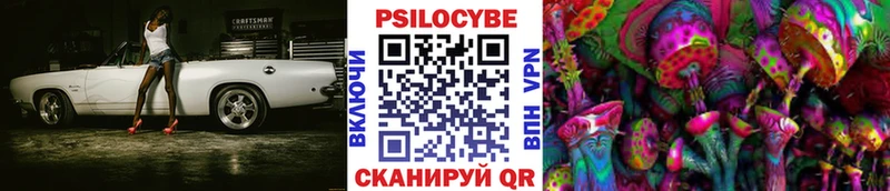 Псилоцибиновые грибы Psilocybe Щигры