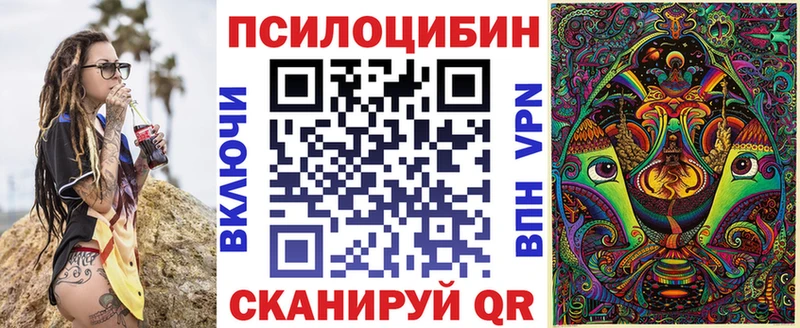Псилоцибиновые грибы Psilocybe  Щигры 